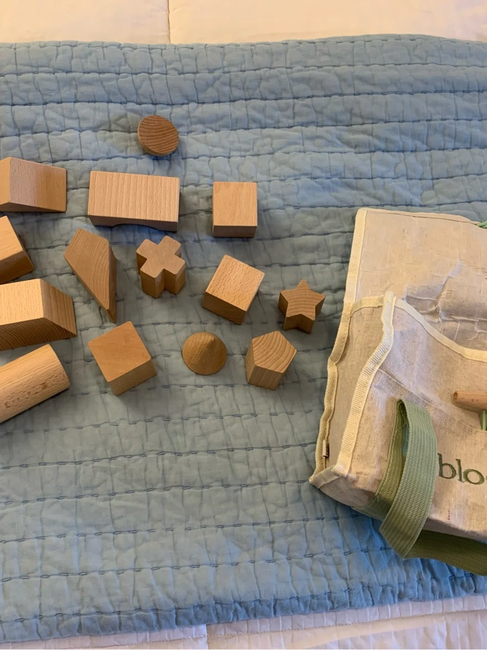 Hearth & Hand Natural Wood Shape Blocks with Canvas Tote - Blue Background
